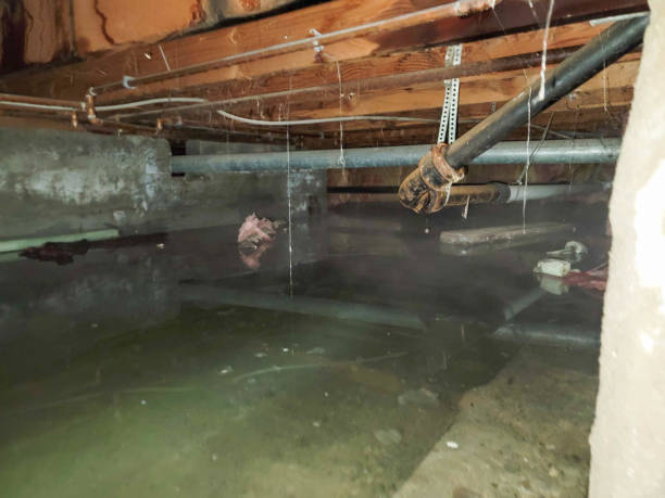 Best Water damage restoration near me  in Palmyra, NJ