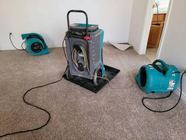 Best Residential water damage restoration  in Palmyra, NJ
