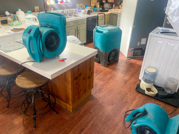 Best Water damage restoration services  in Palmyra, NJ