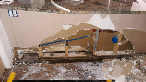 Best Commercial water damage restoration  in Palmyra, NJ