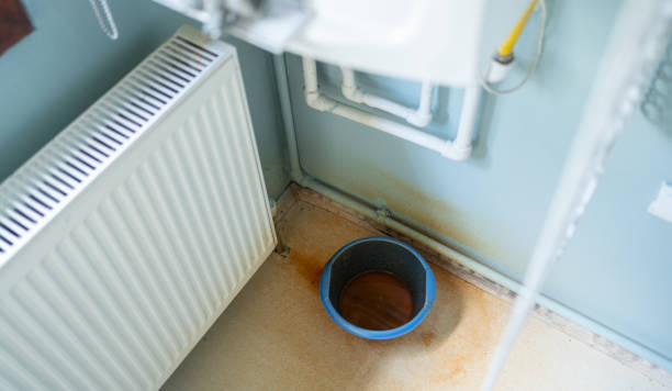Best Professional water damage repair  in Palmyra, NJ